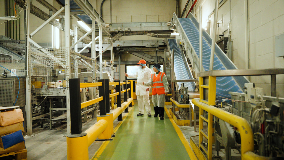 Customer and client walk through a factory setting, in discussion.