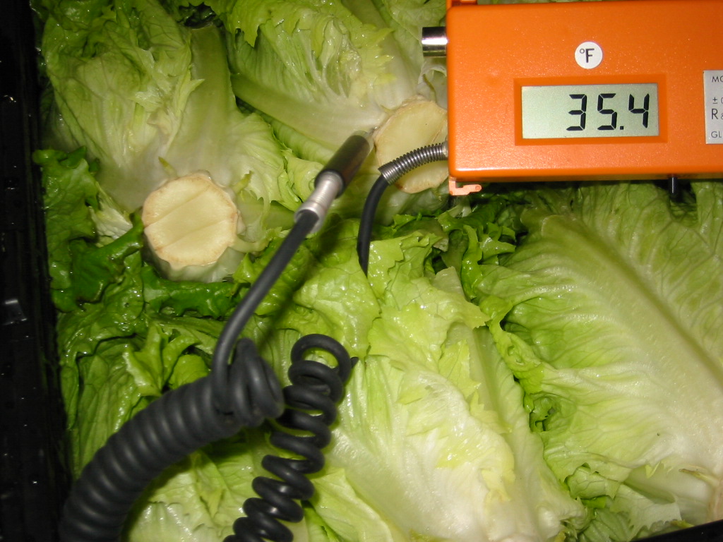 Testing the temperature with a thermometer of leafy green lettuce pulp, which should be kept at 41°F or lower, is a requirement of USDA food storage guidelines for food safety.