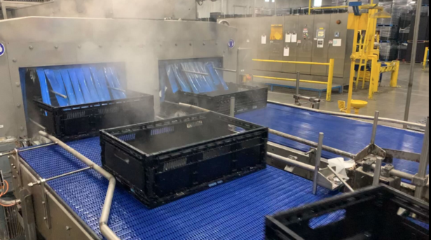 Tosca sanitised plastic crates pass through an automated washer on a conveyor, surrounded by steam from the cleansing process.