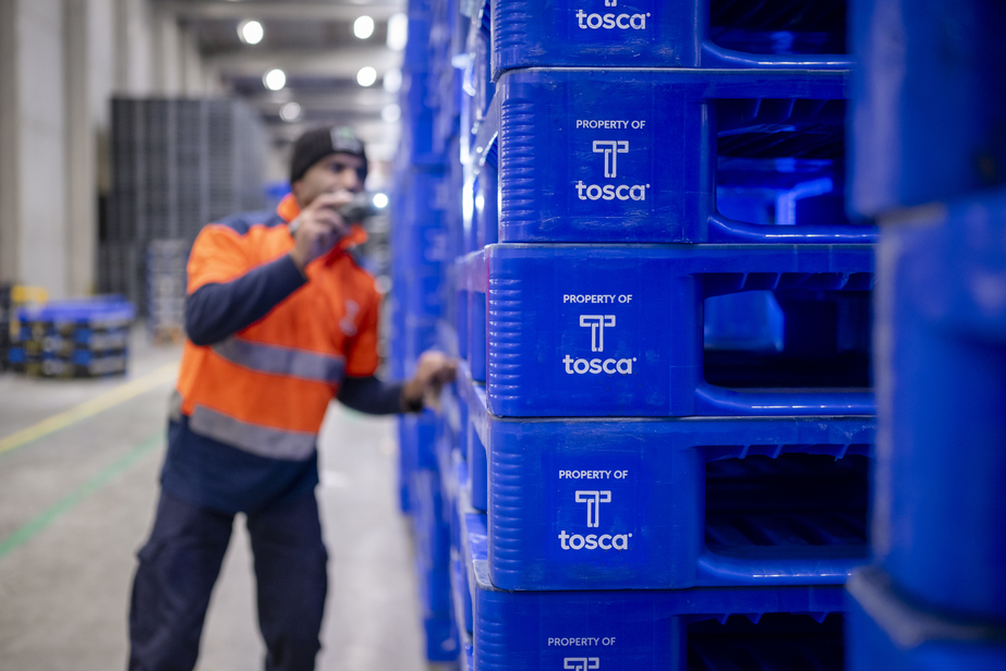 A worker in an orange high-visibility shirt inspects a stack of blue reusable pallets branded with the Tosca logo. The pallets are marked as “Property of Tosca”. The background shows a warehouse environment with a blurred, busy atmosphere, emphasising the operational context.