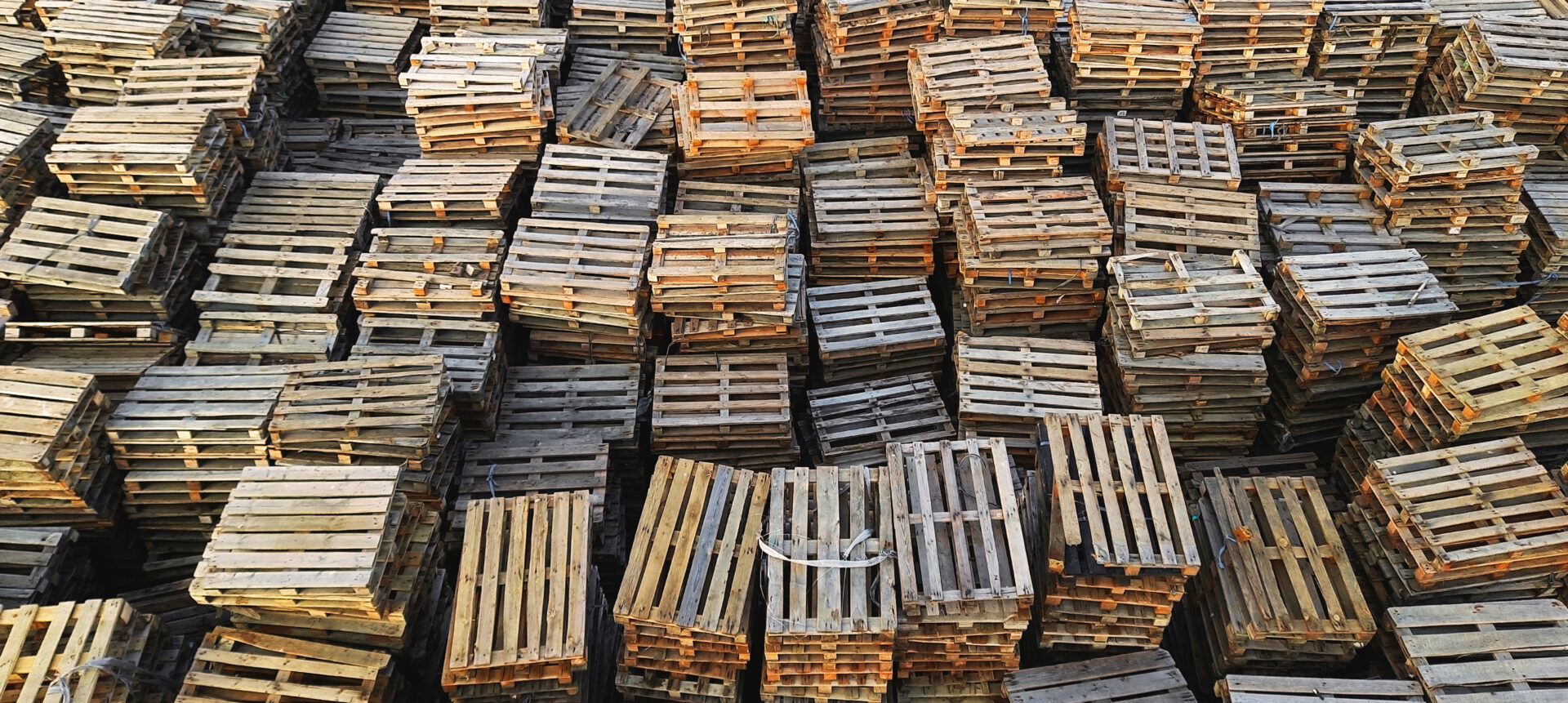 Beyond the surface Identifying the hidden costs of wooden pallets Tosca