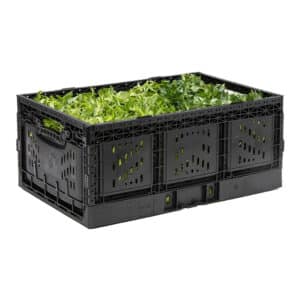 6425-Active-lock-plastic-crate