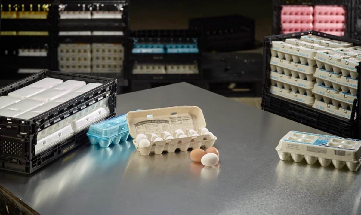 Tosca Egg RPC Benefits | Reduce Breakage & Boost Efficiency