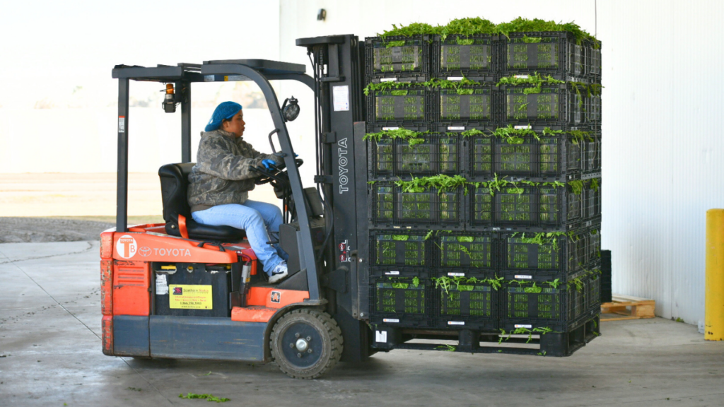 greens being stacked in reusable packaging containers and taken to the warehouse