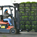 What packaging is costing growers — and why more are switching to reusables