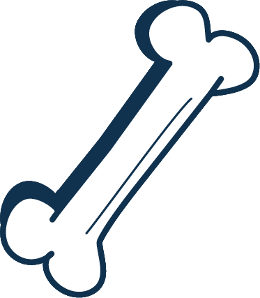 Dog bone