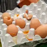 From fragile to future-proof: Prairie Star Farms’ smart packaging upgrade